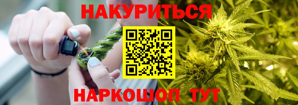 Конопля Сыктывкар